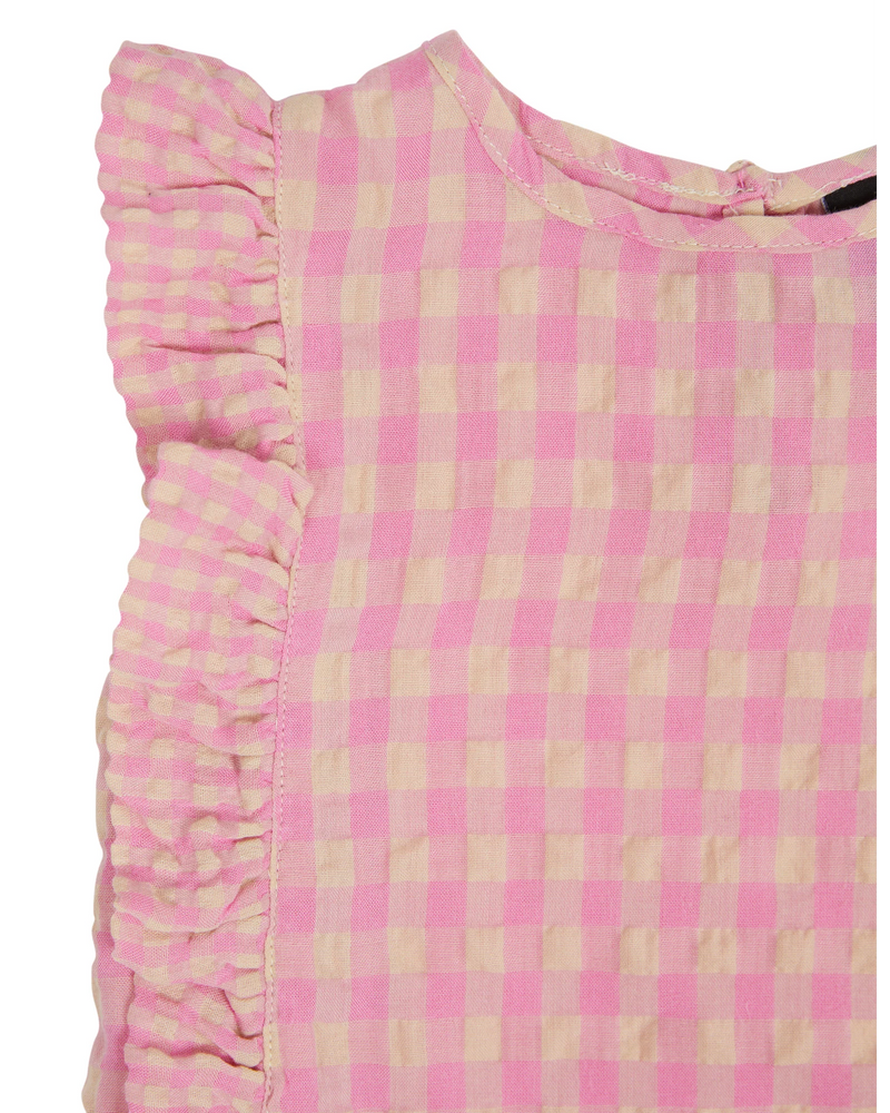 Animal Crackers Picnic Top - Pink Check